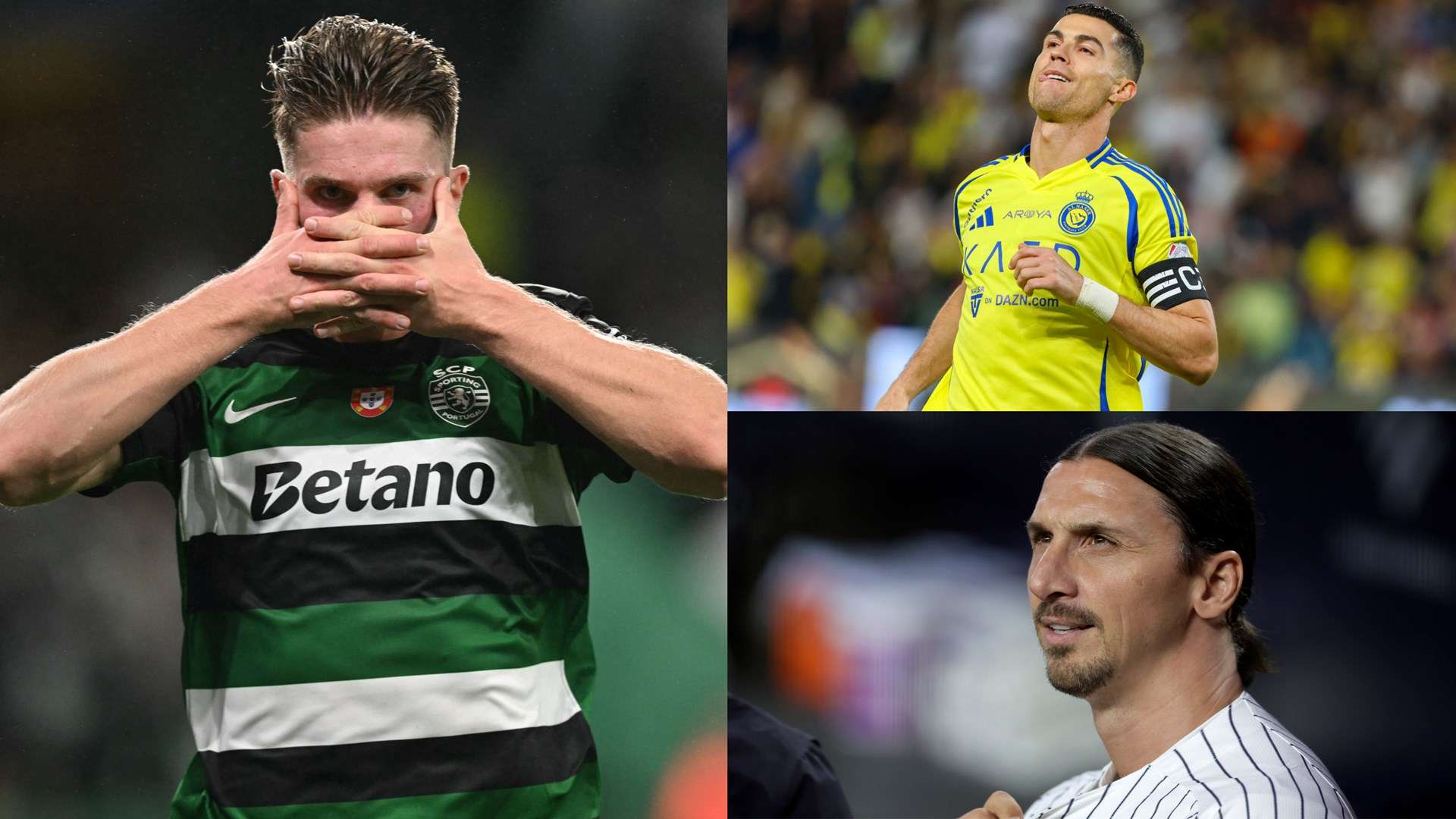 具体对手可 具体对手可